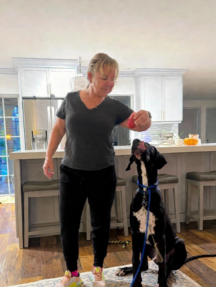 Sharie during a training session with Bluto, a Great Dane